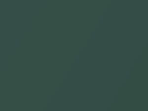 BMW M5 Meergruen Metallic 1997 393