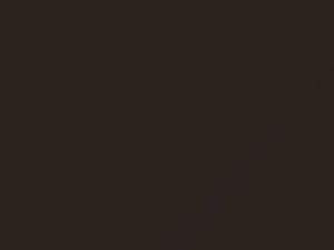 Mitsubishi All Models Deep Brown Metallic 2018 C17, CSC10017