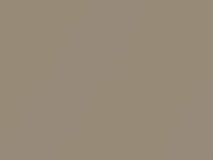 Nissan All Models Light Gold Metallic 1995 EM0 - Scratch Repair