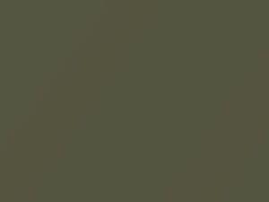 Nissan All Models Light Greenish Yellow Metallic 2013 EAQ - Scratch Repair