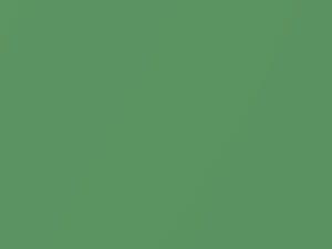 Audi A3 Paradisiesgruen Pearl 1998 B5, D6, LY6K, Y6K