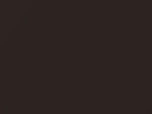 Hyundai Elantra Coffee Bean Metallic 2015 XN5 - Scratch Repair