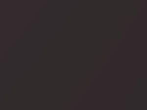 Nissan All Models Dusk Shade Metallic 2012 ZTP - Scratch Repair