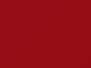 Ford All Models New Rogers Communication Red 2021 DP735, MX7071094 - Scratch Repair