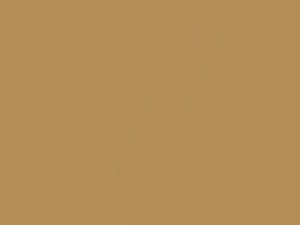 BMW 7 Series Bronzit Metallic 2007 421