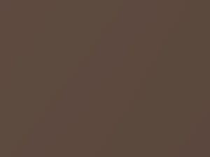 Honda All Models Cinnamon Bronze Metallic 2017 YR635M