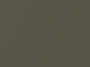Porsche 911 Carrera Olive Green Metallic 2008 D4, LM6U, M6U