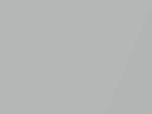 Dodge Dakota Radiant Silver Metallic 1988 CA1, PA1 - Scratch Repair