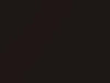 Suzuki All Models Urban Brown Pearl 2015 ZSF