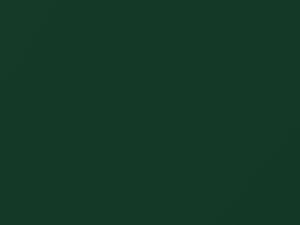 Fiat Punto Verde Tundra Metallic 2015 348A