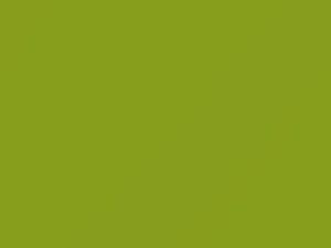 Smart Fortwo Lime Green 2019 6978, 978