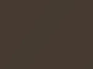 Suzuki All Models Nutmeg Brown Metallic 2019 ZZF