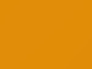 Ford All Models Triple Yellow 2020 C4K, FEBGWHA, H3, M7338A, PN4DR - Scratch Repair