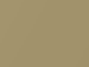 Nissan All Models Light Gold Metallic 2004 E23 - Scratch Repair