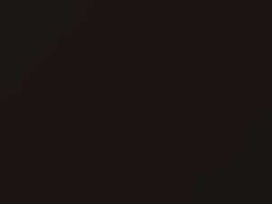 Chevrolet Equinox Havana Metallic 2018 439C, G2X, WA439C - Scratch Repair