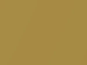 Isuzu All Models Acid Gold Mica 2002 789
