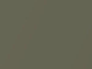 Saab 44807 Pepper Green Metallic 2009 307 - Scratch Repair