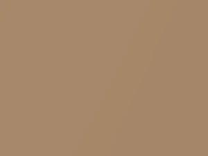 Honda Fit Light Beige Metallic 2015 YR605M - Scratch Repair