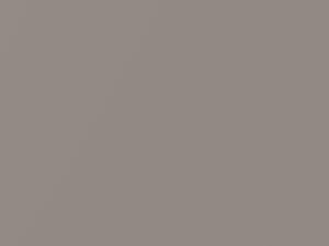 BMW M8 Frozen Cashmere Silver Metallic 2020 490, P63