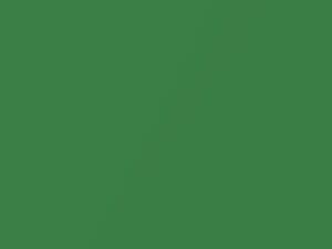 Pontiac All Models Apple Green Metallic 2009 15U, 45U