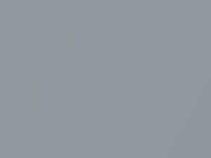 Kia Sedona Silver Metallic 2002 C9