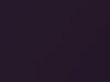Lotus Lotus Aubergine Purple Metallic 2005 B102