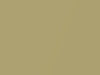 Porsche 911 Limegold Metallic 2014 5P1, L5P1, R2