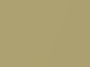 Porsche All Models Limegold Metallic 2013 R2