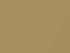 Lincoln Navigator Gold Metallic 2017 DP680, M7385A, MX7081288, SR
