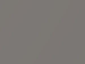 Land Rover Range Rover Aspen Silver Metallic 1993 458, MUD - Scratch Repair