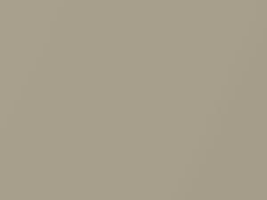 Dodge Magnum Linen Gold Pearl 2006 CYG, PYG