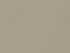 Dodge Charger Linen Gold Pearl 2007 CYG, PYG