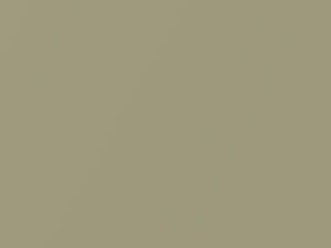 Honda All Models New Silver Gold Metallic 2019 YR521M