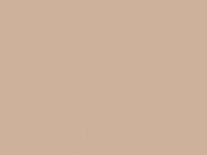 Suzuki All Models Milktea Beige Metallic 2015 ZGF