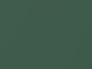 Hyundai H200 Leaf Green Metallic 2006 8N - Scratch Repair