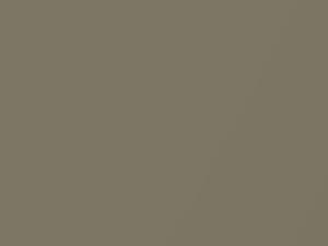 Nissan Sentra Beige Metallic 2002 CV2 - Scratch Repair