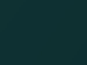 Kia Sedona Dark Emerald Green Metallic 2002 G9