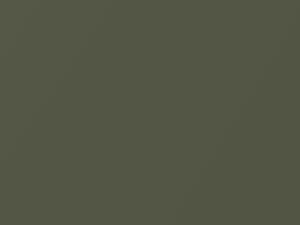 Chevrolet Tacuma Khaki Green Metallic 2004 17U, 224L, 44V, WA224L
