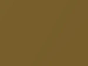 Nissan All Models Dark Gold Metallic 2017 EAK - Scratch Repair