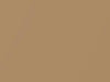 Toyota All Models Golden Sand Metallic 2000 578
