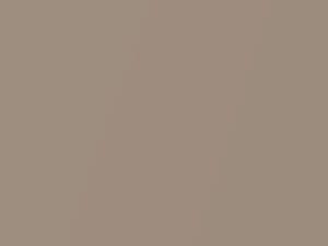 Porsche All Models Coffee Beige Metallic 2021 4I, LM8Q, M8Q