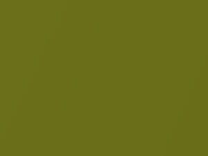 Hyundai Venue Exotic Green Pearl 2020 N4R