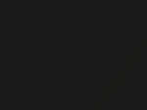 Hyundai Venue Deep Forest Metallic 2020 RWP - Scratch Repair