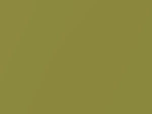 Kia All Models Alien II Pearl 2015 AE2, AE3