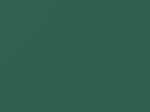 Volkswagen All Models Bay Leaf Green Metallic 2020 LN6X, N6X