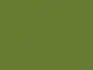 Ford All Models Outrageous Green Metallic 2019 7395, B8, JGREWTA, M7395A