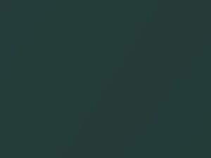 Mercedes-Benz C Class Spruce Green Metallic 1995 249 - Scratch Repair