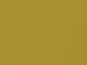 Volkswagen All Models Honey Yellow Metallic 2019 B1W, G5G5, G8, LB1W