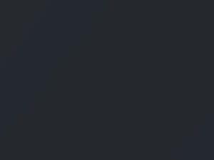 Lexus LX470 Dark Gray Metallic 2007 UA31, UCA31