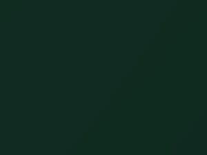 Mitsubishi Carisma Liege Green Pearl 1998 AC11219, G19 - Scratch Repair